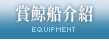賞鯨船介紹